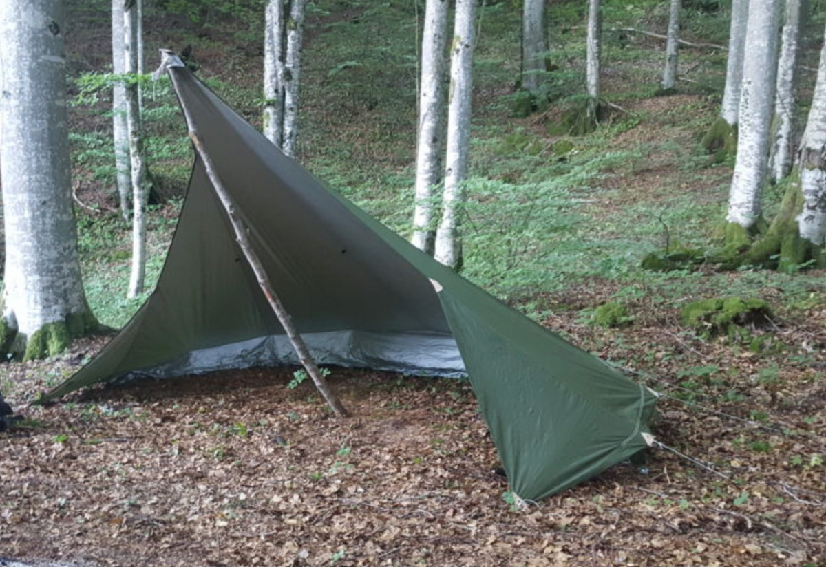 2021-09-1411.52.51_1200x1200. 2021-09-1411.52.51_1200x1200.